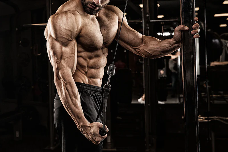 Muscle Gain Program Image